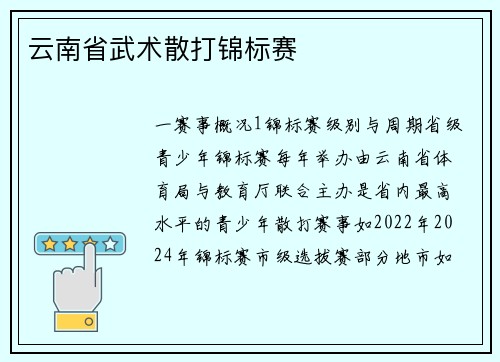 云南省武术散打锦标赛